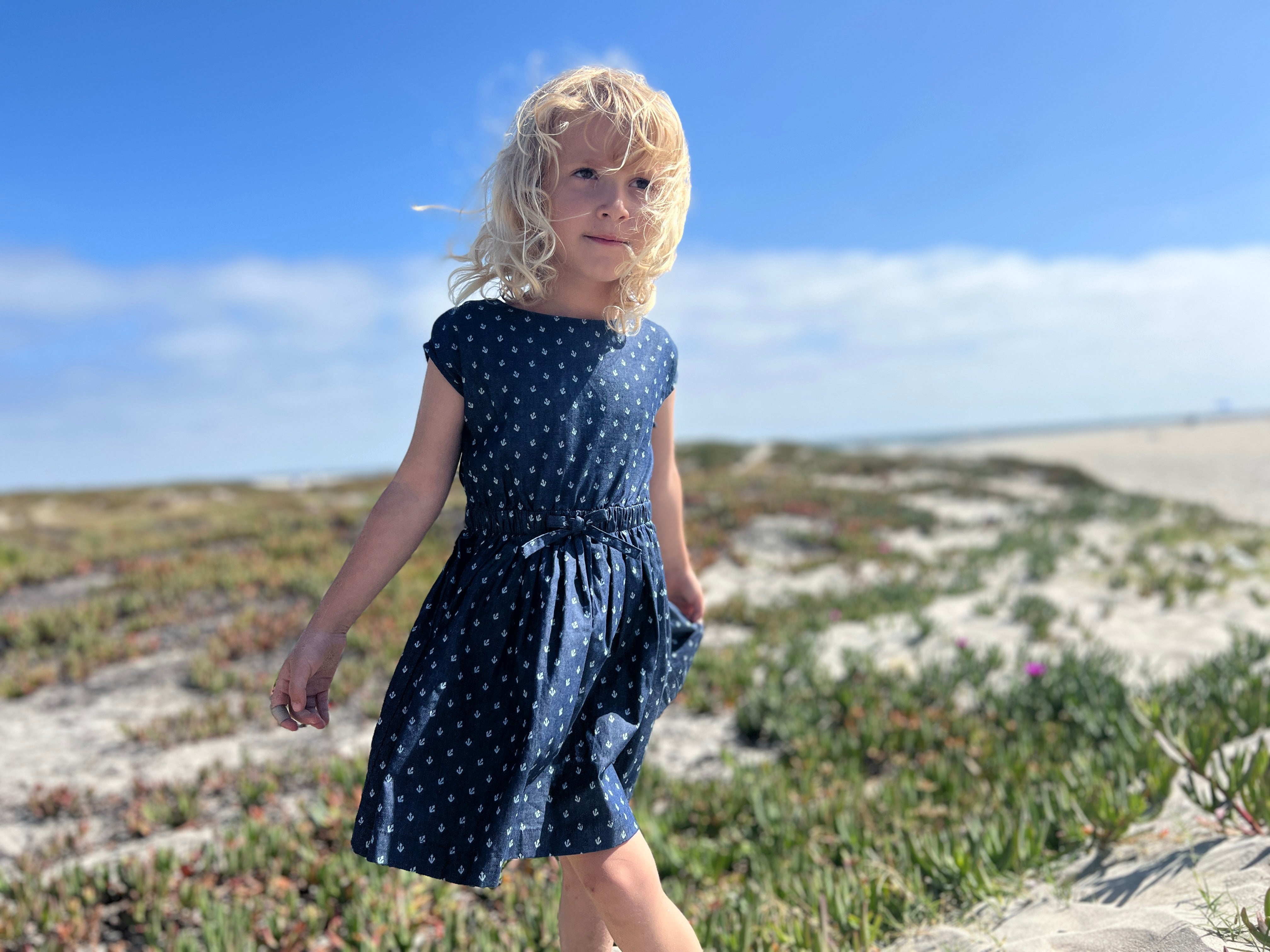 Vignette - Saylor Dress