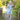 //thecutestlittle.com/cdn/shop/files/bluebutterflies_298x0.webp?v=1770735884