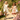 //thecutestlittle.com/cdn/shop/files/multiflower_298x0.webp?v=1770736952
