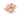 //thecutestlittle.com/cdn/shop/files/unnamed_c510e8f8-40fa-44af-8c2b-31580366c94c_298x0.png?v=1773243246